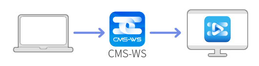 CAYIN Basic DOOH Networks