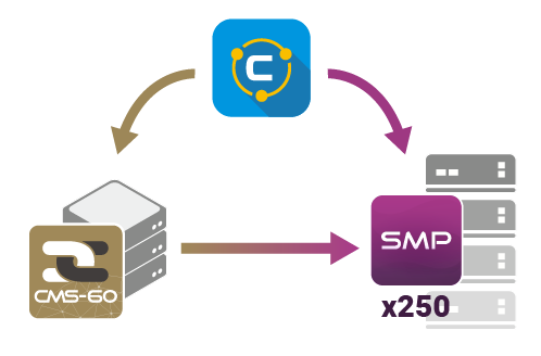 CMS Server Designing a Multi-server Environment